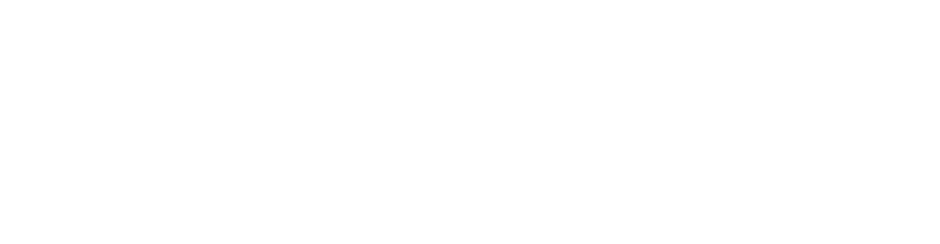 The Lincoln Motor Company